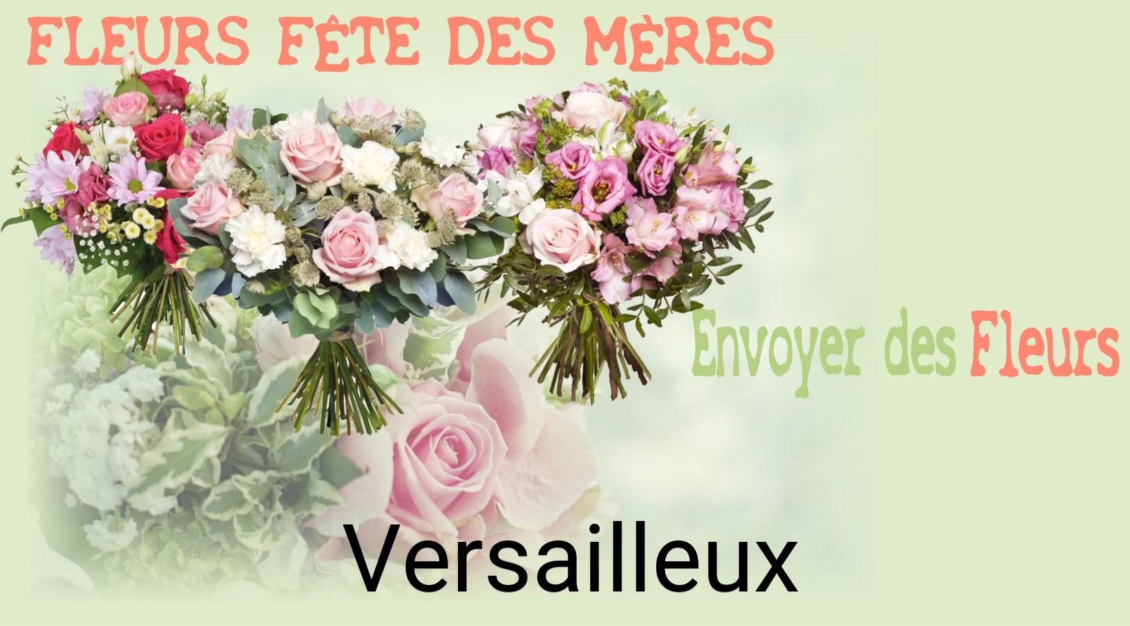 Bouquet de Fête des Mères livré à Versailleux